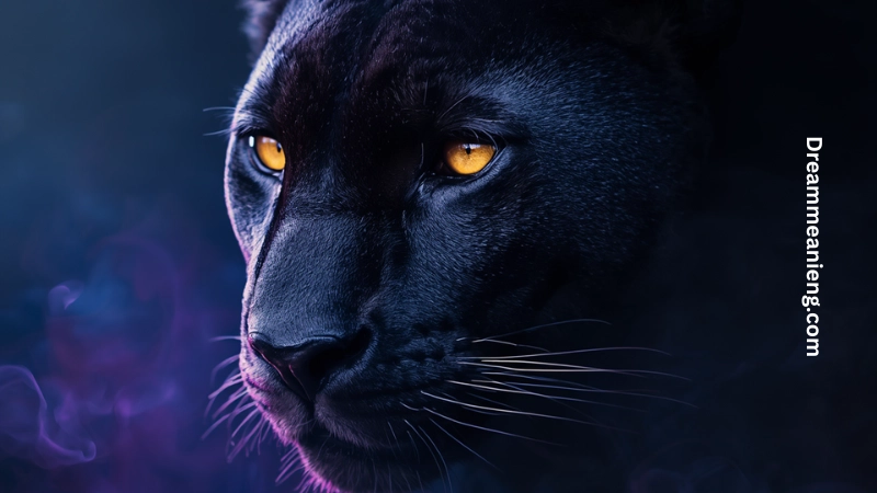 Black Panther in Dream Meaning 7 Surprising Truths 3 Black Panther in Dream Meaning